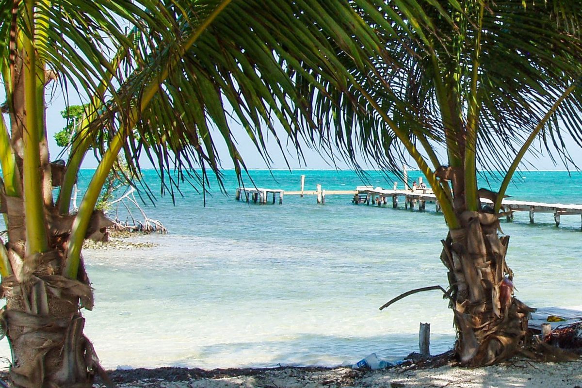 4.3BELICE